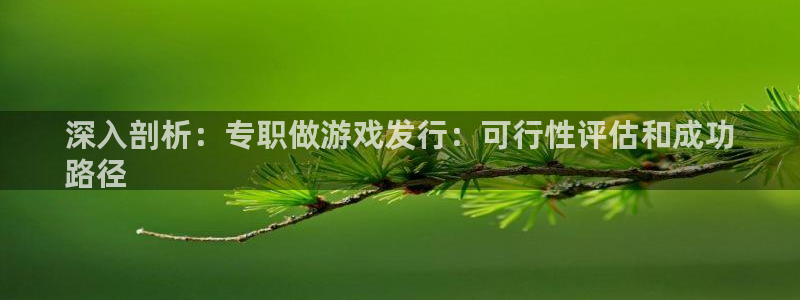 顺盈平台注册资金多少亿：深入剖析：专职做游戏发行：可行性评估和成功
路径