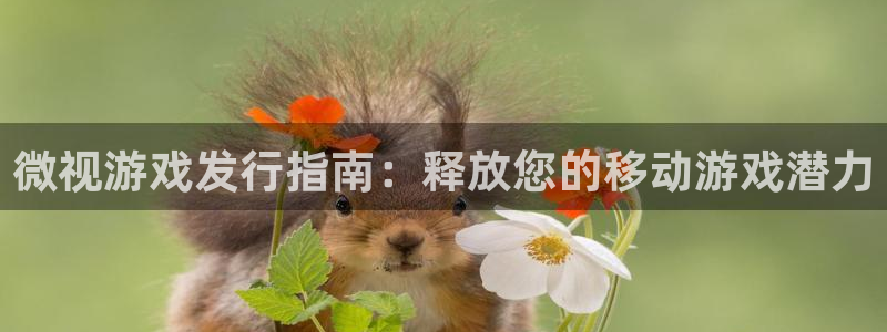 顺盈娱乐平台提现被关闭怎么回事儿啊安全吗：微视游戏发行指南：释放您的移动游戏潜力