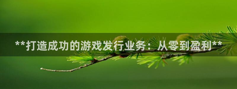 顺盈娱乐官网首页网址查询：**打造成功的游戏发行业务：从零到盈利**