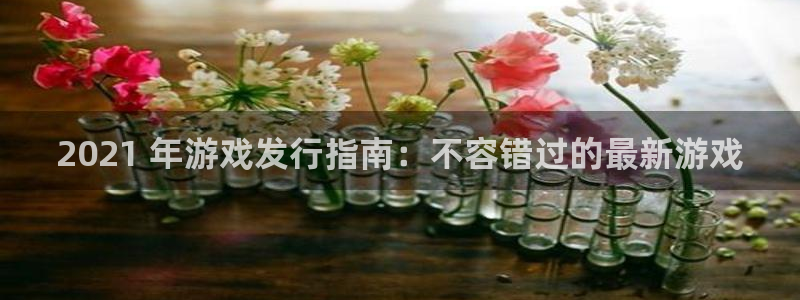 顺盈网络科技有限公司怎么样：2021 年游戏发行指南：不容错过的最新游戏