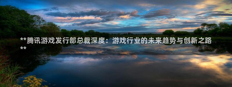 顺盈娱乐平台提现被关闭怎么回事呀：**腾讯游戏发行部总裁深度：游戏行业的未来趋势与创新之路
**