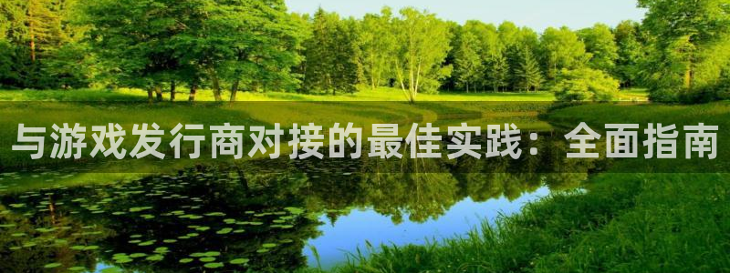 顺盈娱乐主管十7O777：与游戏发行商对接的最佳实践：全面指南