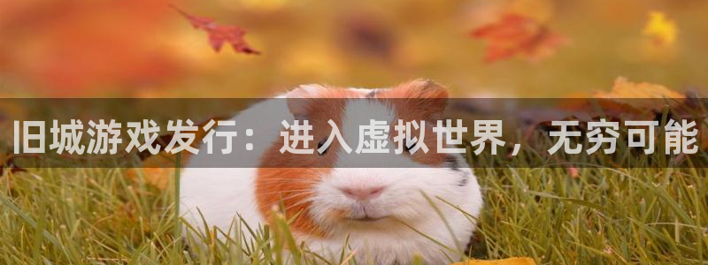 顺盈娱乐违法吗：旧城游戏发行：进入虚拟世界，无穷可能