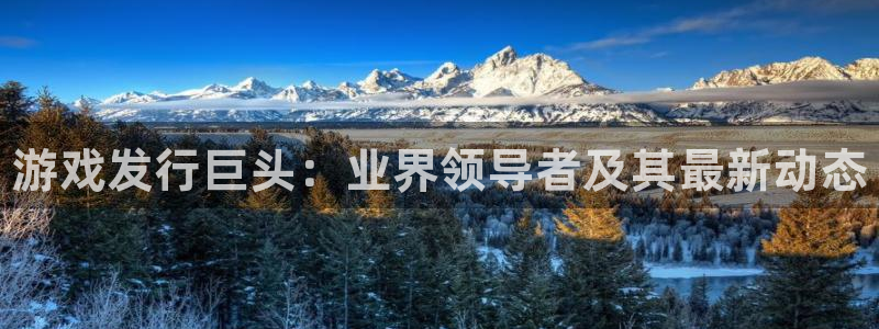 顺盈娱乐公司介绍