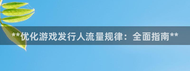顺盈娱乐登录平台是什么意思：**优化游戏发行人流量规律：全面指南**