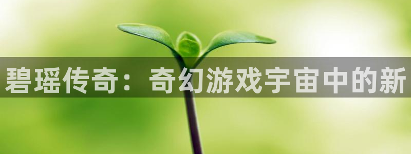 顺盈娱乐公司介绍图片：碧瑶传奇：奇幻游戏宇宙中的新