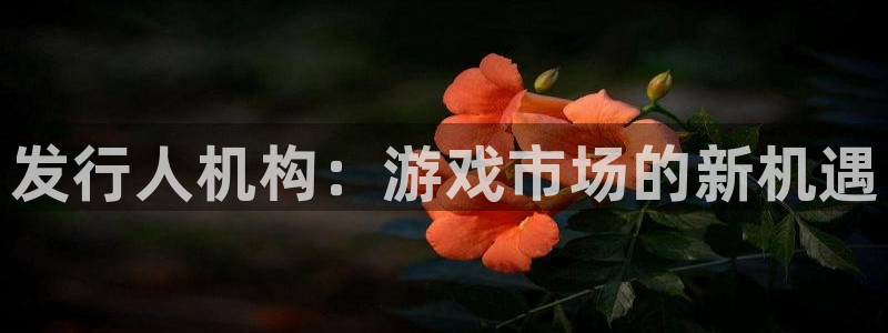 顺盈app：发行人机构：游戏市场的新机遇