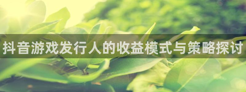 顺盈娱乐领导联系方式：抖音游戏发行人的收益模式与策略探讨