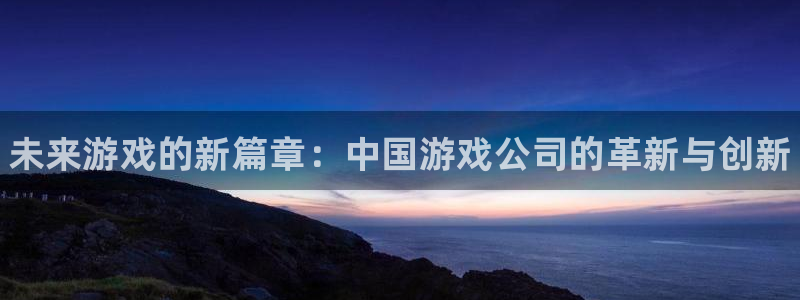 顺盈娱乐登录平台是什么平台啊：未来游戏的新篇章：中国游戏公司的革新与创新