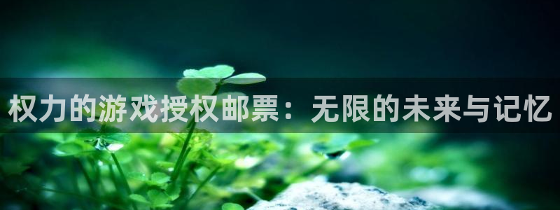 顺盈娱乐平台注册流程视频下载：权力的游戏授权邮票：无限的未来与记忆