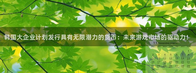 顺盈app是真的吗：韩国大企业计划发行具有无限潜力的货币：未来游戏市场的驱动力！