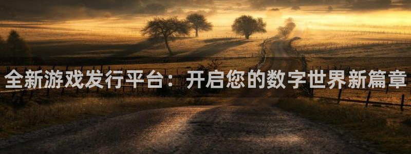 顺盈电子：全新游戏发行平台：开启您的数字世界新篇章