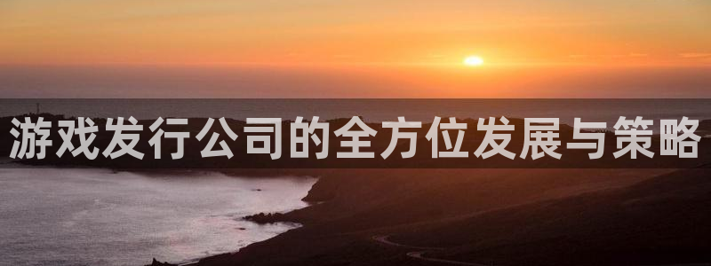 顺盈网络科技有限公司怎么样