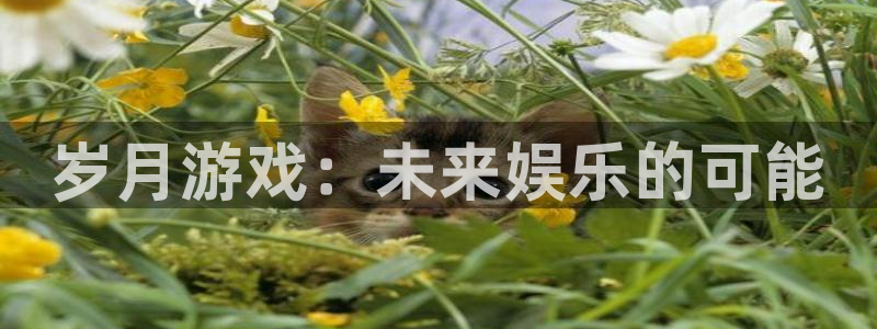 顺盈娱乐违法吗是真的吗