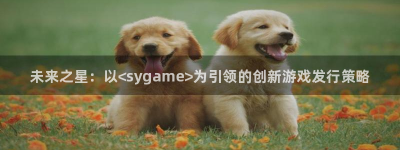 顺盈娱乐扣款怎么回事：未来之星：以<sygame>为引领的创新游戏发行策略