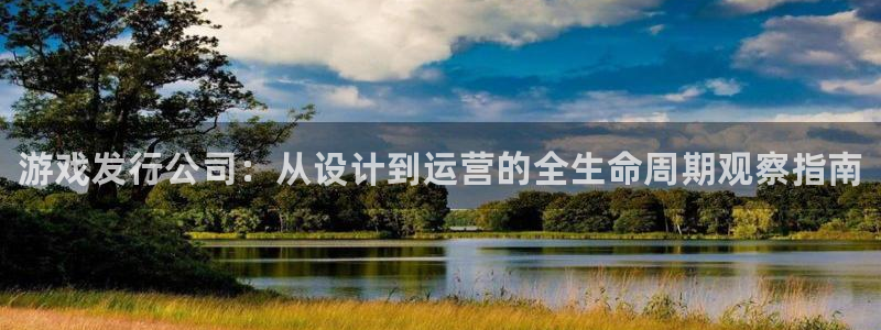 顺盈平台登录入口：游戏发行公司：从设计到运营的全生命周期观察指南