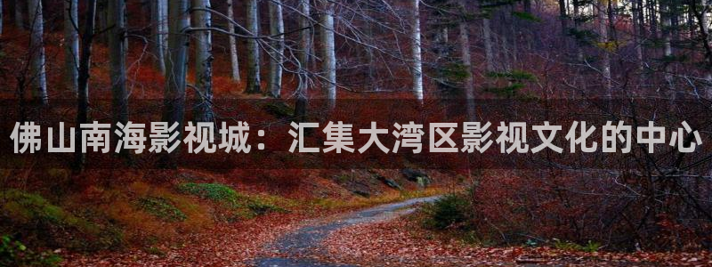 色婷婷亚洲综合影院：佛山南海影视城：汇集大湾区影视文化的中心