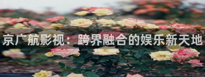 色婷婷影院：京广航影视：跨界融合的娱乐新天地