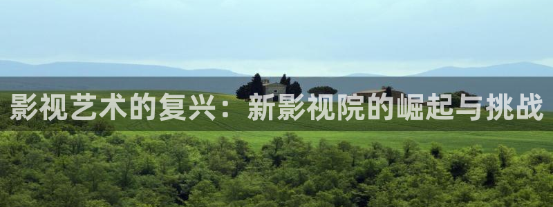 奇米影视第四色婷婷：影视艺术的复兴：新影视院的崛起与挑战